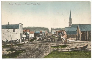 Cedar Springs Michigan MI 1880's Town View Postcard c.1910 - Picture 1 of 2