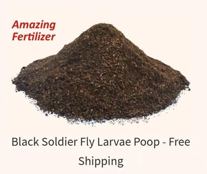 Black Soldier Fly Larvae Frass / Insect Frass • Amazing Soil Amendment • 1 Lb - Picture 1 of 4