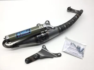 Pot D'Échappement Silencieux Scooter Reverse Giannelli Gilera TYPHOON 50 50 - Photo 1/9