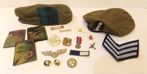 job lots of 18 military badges & buttons + 2 beret etc bought as seen - Picture 1 of 12
