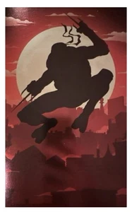 Teenage Mutant Ninja Turtles Issue #1RE Davis Rider Exclusive Silhouette Variant - Picture 1 of 7