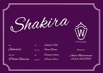 STALLSCHILD-PROFI individuelles Boxenschild Stallschild Tierschild Tafel Pferd Pony # SHAKIRA