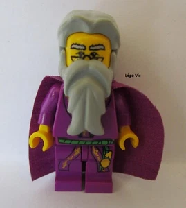 Lego HP008 Figurine Professor Dumbledor du Harry Protter 4729 4707 4709 - Imagen 1 de 1