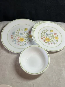 Corelle Expressions MEADOW 3 Dinner Plates & 3 Lunch Plates & 2 Bowls Vintage - Picture 1 of 2