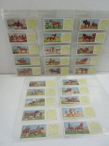 Typhoo Tea Cards Horses Full Set of 25 from 1935