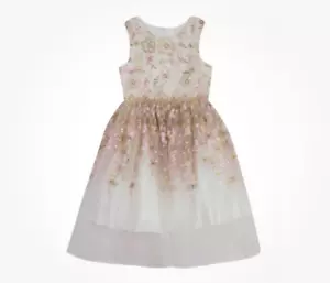 Rare Editions toddler Girl's floral embroidered mesh Easter Dress size 2T NWT - Picture 1 of 7