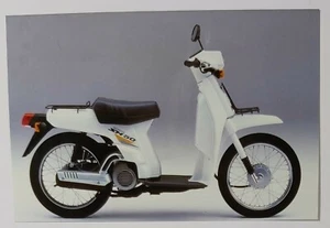 11337 Foto d'epoca 256 - Moto d'epoca - Honda SH 50 - Picture 1 of 1