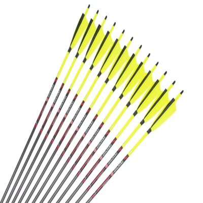 12pcs 32" Carbon Arrows SP250-600 5" Turkey Feather Traditional Compound Bow - Image 1 of 4