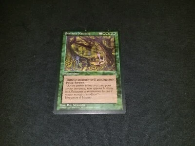 MTG 1x The Dark green rare LP Italian FBB Hidden Path - Reserved List - Image 1 of 2