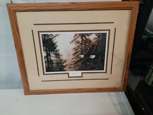 Mystic Flight by Andrew Kiss 18x16 FRAMED PRINT PICTURE Bald Eagle Forest - Picture 1 of 9