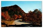 Vt 353 Vermont's Magnificent Fall Foliage Spectacle Postcard