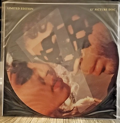 Prince And The NPG – 7, Vinyl, 12", Single, UK Limited Edition, Picture Disc, NM Foto 1 de 2