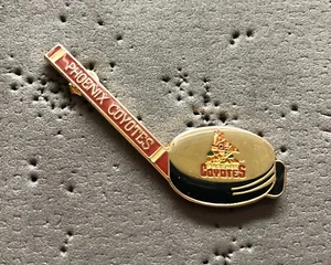 Phoenix Coyotes Puck & Stick NHL Hockey Pin - Imagen 1 de 1