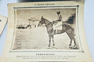 Horse Racing Competition The French Equine 194 Cards - Picture 1 of 15