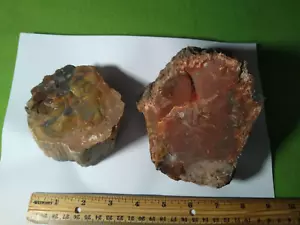2 Pieces of Arizona Petrified Wood rough. Over 5 lbs. Total Weight. - Picture 1 of 11