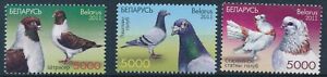 [BIN15229] Belarus 2011 Birds good set of stamps very fine MNH