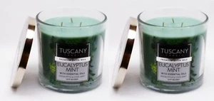 2 Tuscany Kerze EUKALYPTUS MINT Premiu Soja Mischung 3 Docht Duftwachs 14 oz groß - Bild 1 von 1