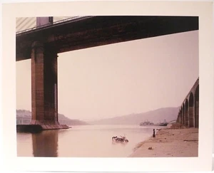 Nadav Kander Yangtze The Long River 2012 Flowers Invitation Card 5.75 x 7.25 - Picture 1 of 3