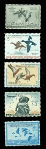 RW15, 18, 26, 36, 38 — Federal duck stamps signed by artist Maynard Reece - Picture 1 of 3