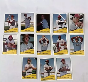 TCMA Minor League Ogden A's 1979 - Juego de 13 cartas - Ver fotos sin clasificar - Imagen 1 de 7