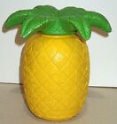 Krazy Straw Pineapple Drink Container Screw-top Lid Party Supplies HDPE Safe GC