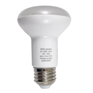 6W R20 LED E26 Medium Base 5000K - Daylight Non-Dimmable Bulb - Picture 1 of 2