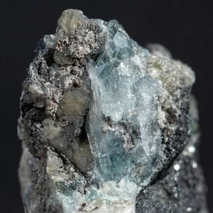 Blauer Kovdorskit Kristall mit Collinsit auf Matrix. TYPLOKALITÄT Kovdor, Russland - Bild 1 von 5