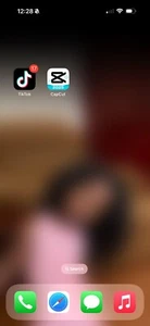 iPhone 16 Pro Max With TikTok And CapCut Installed , Used Only 2month - Picture 1 of 1