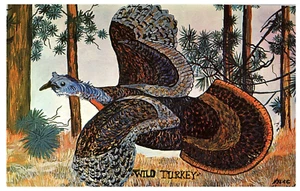 Mund Künstler Gemälde Repro von Nyla Thompson Wild Turkey Postkarte - Bild 1 von 2