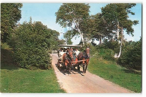 1960 Pferdekutschen, Mackinac Island, Michigan Vintage Postkarte SK3. - Bild 1 von 2