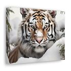 Siberian Tiger Serenity Canvas Wrap, Snow Tiger