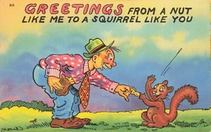 Postcard Humor Comic Greetings From A Nut Like Me To A Squirrel Like You - Picture 1 of 2
