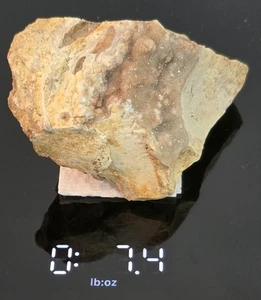 Rocas y minerales piedra caliza de 7 onzas con cuarzo transparente druzy - Imagen 1 de 9