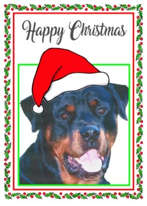 ROTTWEILER DOG SANTA HAT QUALITY GLOSSY CHRISTMAS CARD 8"x 6" FREE POST - Picture 1 of 2