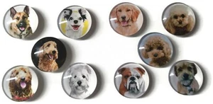 DOG BREEDS Glass Magnet Set - 10pc Handmade Decorative Memo Board Refrigerator  - Picture 1 of 2