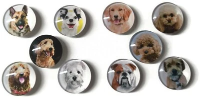 DOG BREEDS Glass Magnet Set - 10pc Handmade Decorative Memo Board Refrigerator  - Image 1 of 2