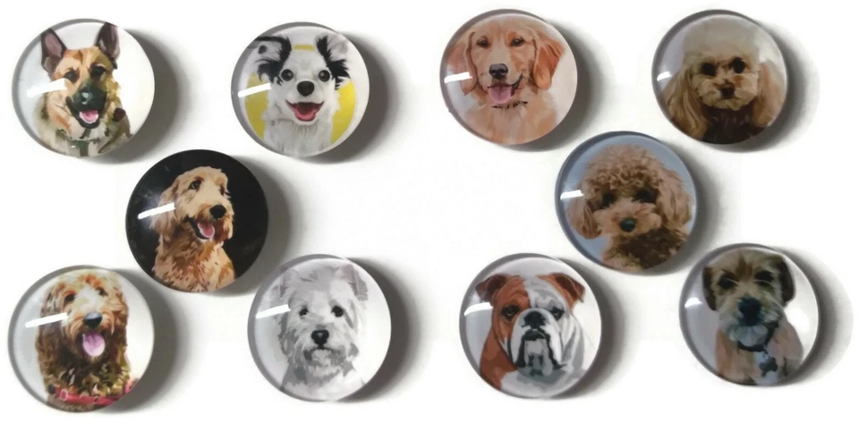 DOG BREEDS Glass Magnet Set - 10pc Handmade Decorative Memo Board Refrigerator  - Image 1 of 2