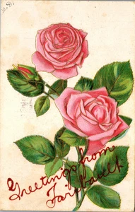 Faribault, Minnesota Postkarte (1910) Grüße aus.. - Bild 1 von 2