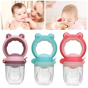 Baby Dummy Feeding Nibbles Weaning Nutrition Pacifier Fresh Fruit Food Feeder~ - Picture 1 of 16