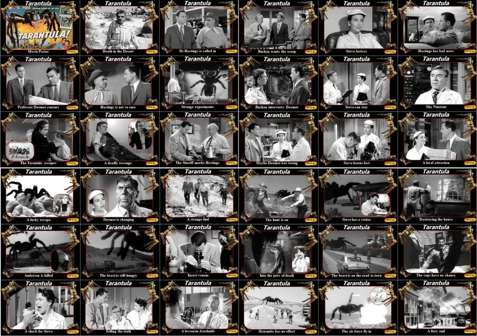 TC Tarantula (1955) movie John Agar Leo Storyboard Monster Horror Set 36 Karten - Bild 1 von 1