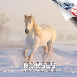 Pferde Wandkalender 2026 Tier Haustierliebhaber Geschenk Pferdesattel Reitsport - Bild 1 von 2