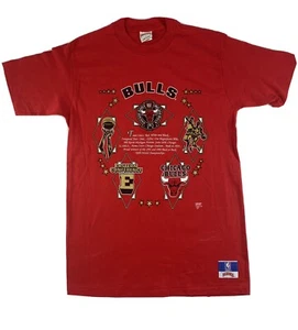 Vtg Chicago Bulls 90s Red Single Stitch Championship Nutmeg T Shirt Sz XL Patch - Picture 1 of 8