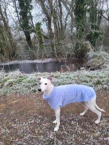 Hundepullover im superweichen Kuschelfleece periwinkle blau 28-30" - Bild 1 von 3