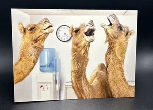 Happy Retirement Greeting Card w/Envelope - Picture 1 of 5