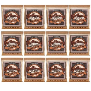 Ernie Ball 2144 Corde per chitarra acustica bronzo fosforo MEDIUM 13-56 12 set - Foto 1 di 10