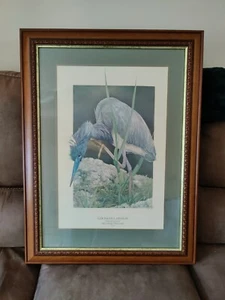 GRAN impresión artística William McVaugh Jr. garza de Louisiana de tamaño natural 32,5 x 24,5" enmarcada - Imagen 1 de 12