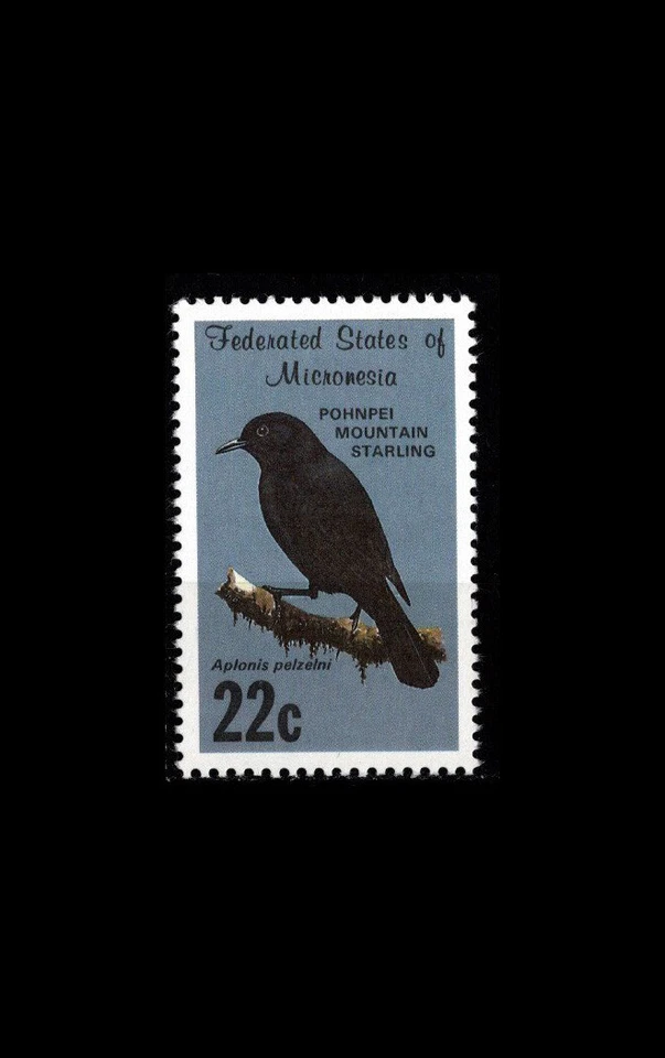 GTSTAMPS, Micronesia, Sc #35, MNH, 1988, Bird Pohnpei Mountain Starling Foto 1 de 1
