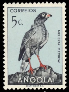 ANGOLA 333 - Dark Chanting Goshawk "Melierax mechowi" (pb69238) - Picture 1 of 1
