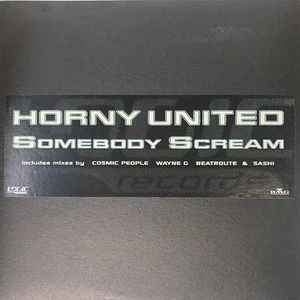 Horny United - Somebody Scream (2x12", Promo) (Near Mint (NM or M-)) Logic Recor - Picture 1 of 5