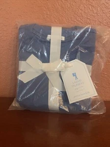 Pottery Barn Kids Safari Lion 🦁 Pajamas Size 7(2pc set) NWT gift Boy New Blue - Picture 1 of 3